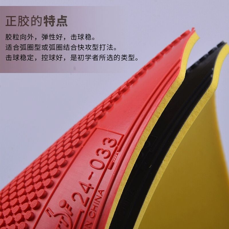 Orijinal DHS Dragon Shadow Mas - Table Tennis Zhang Jike incelemesi ve fiyatı